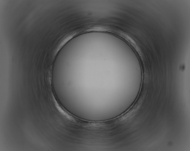 X0000091681433200708231057