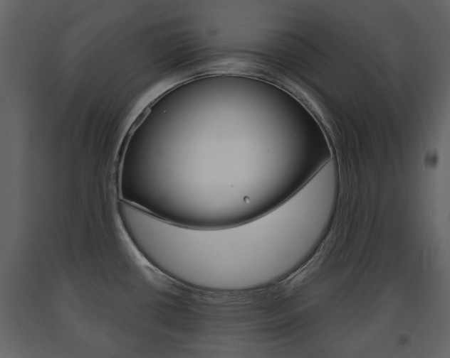 X0000091681434200708231057