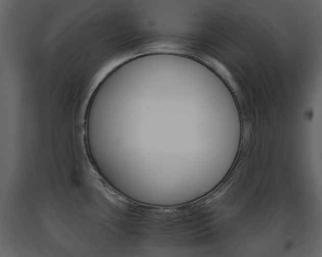 X0000091681435200708231057