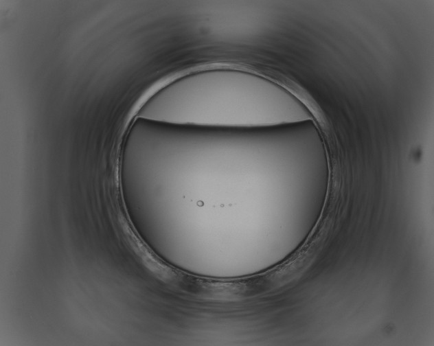 X0000091681436200708231057