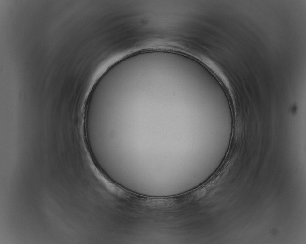 X0000091681437200708231057