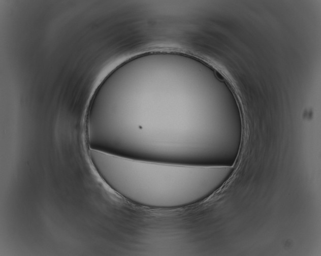 X0000091681440200708231057