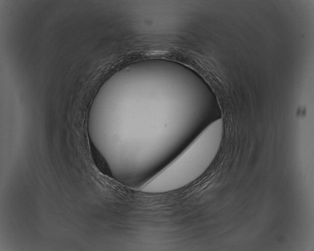 X0000091681441200708231057