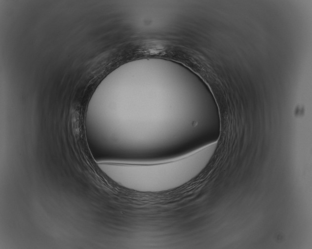 X0000091681442200708231057