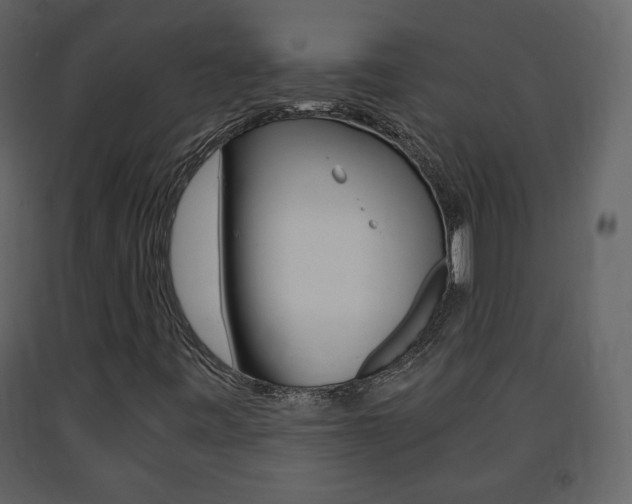 X0000091681443200708231057