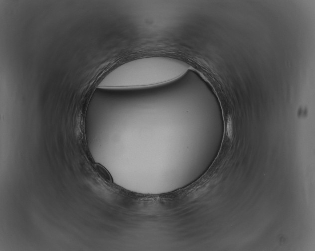 X0000091681444200708231057