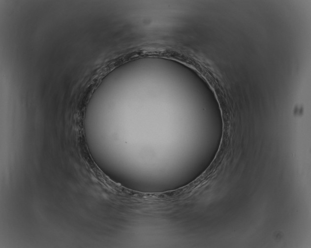 X0000091681445200708231057
