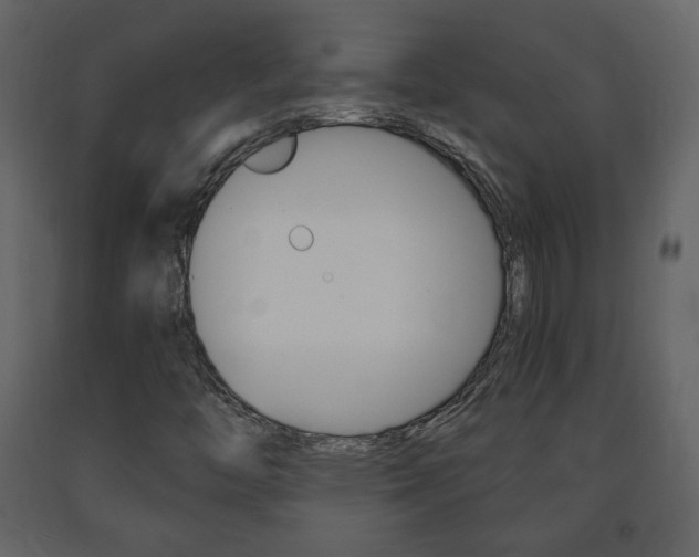 X0000091681446200708231057