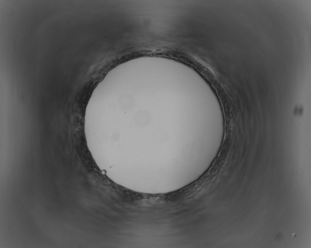 X0000091681447200708231057