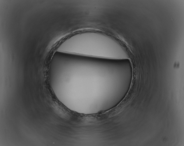 X0000091681448200708231057