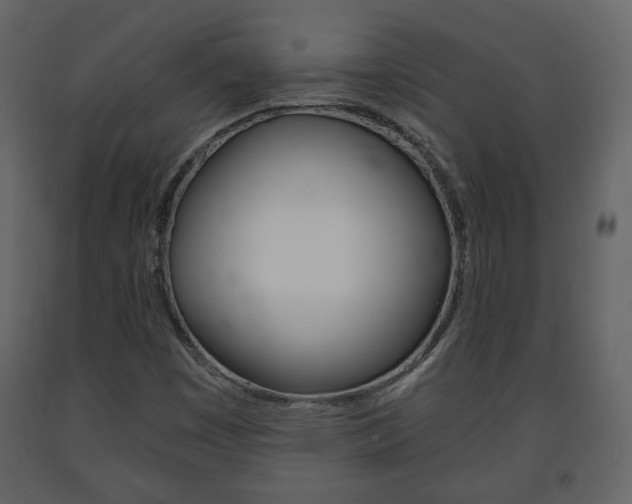 X0000091681449200708231057