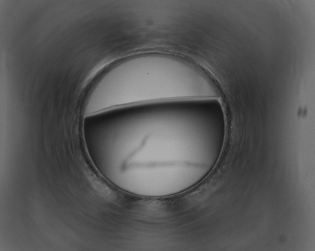 X0000091681450200708231057
