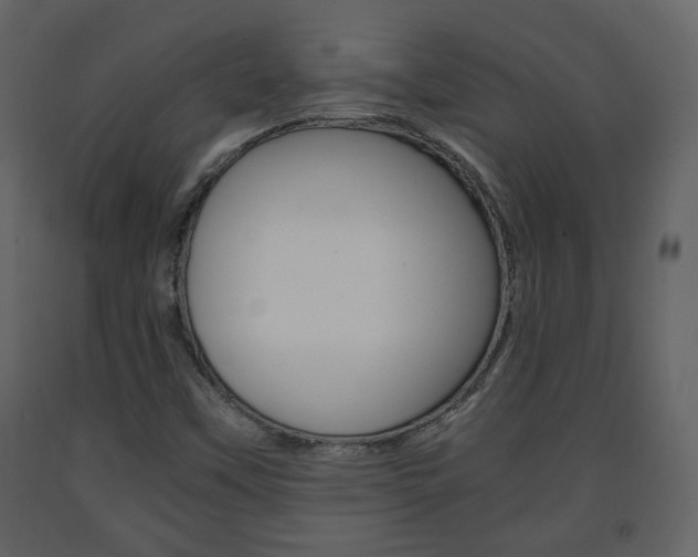 X0000091681451200708231056
