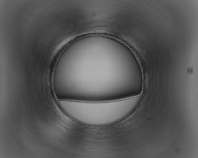 X0000091681452200708231056