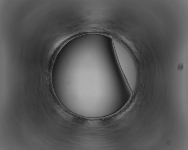 X0000091681453200708231056