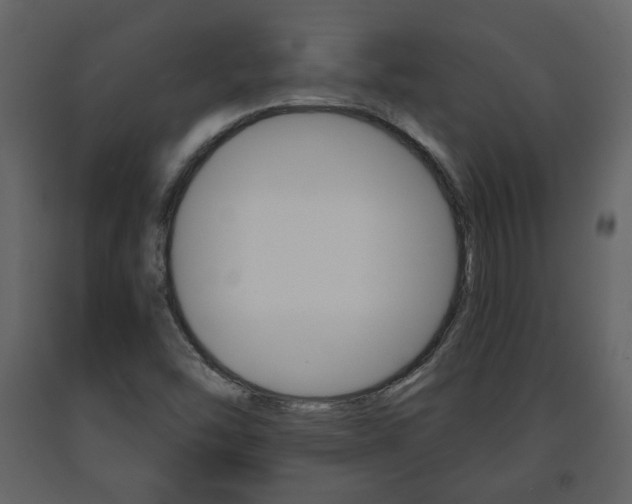 X0000091681454200708231056