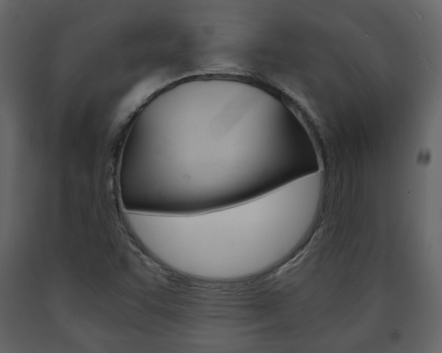 X0000091681455200708231056
