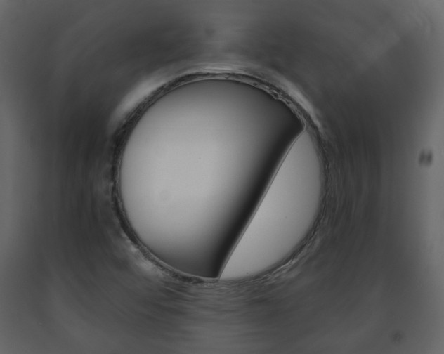 X0000091681456200708231056