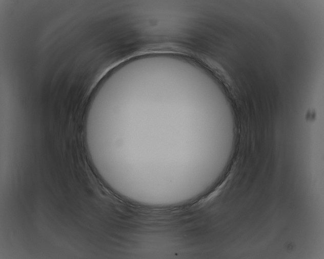 X0000091681457200708231056
