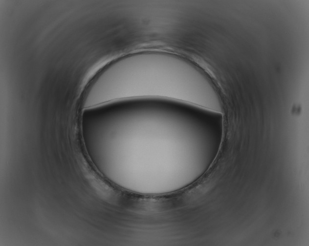 X0000091681458200708231056