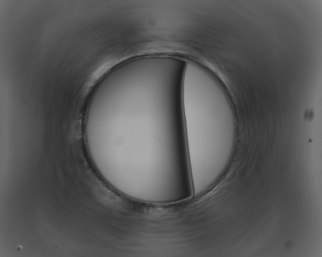 X0000091681459200708231056