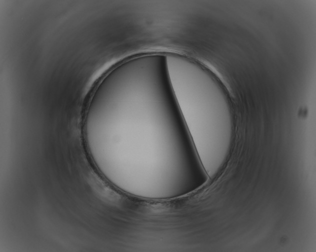 X0000091681460200708231056