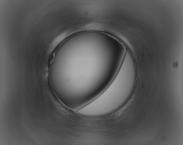 X0000091681461200708231056