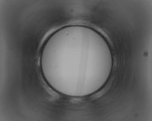 X0000091681462200708231056
