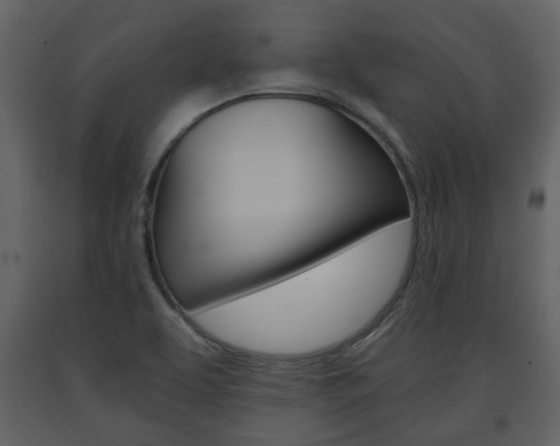 X0000091681463200708231056