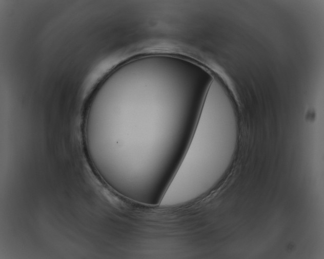 X0000091681464200708231056