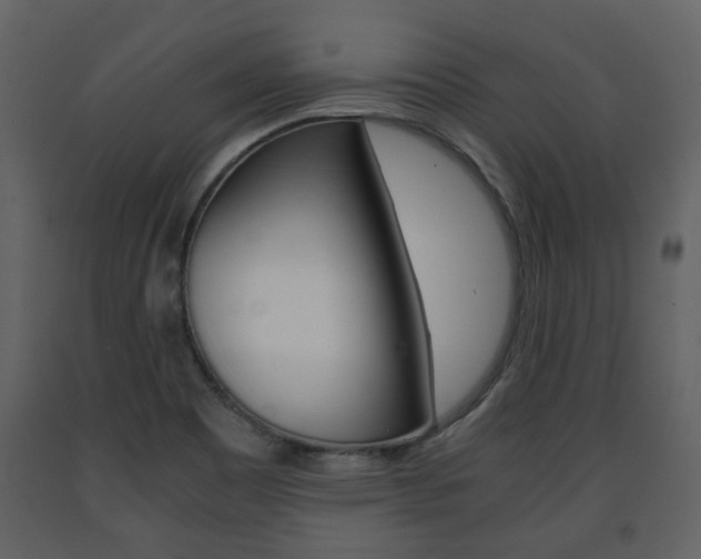 X0000091681465200708231056