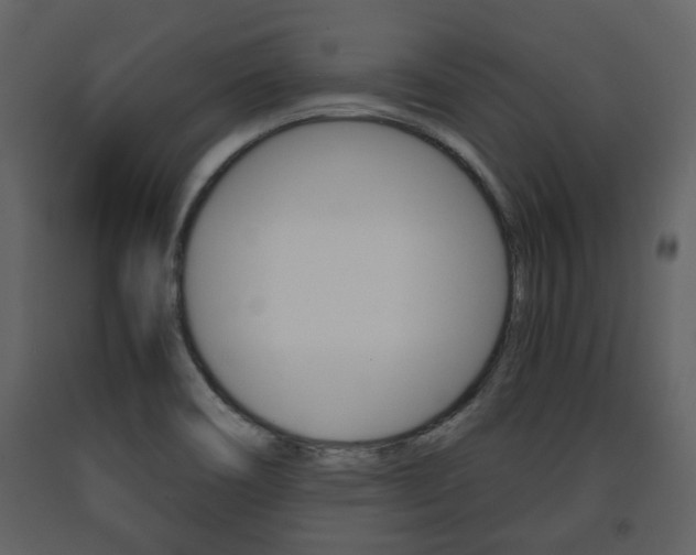 X0000091681466200708231056