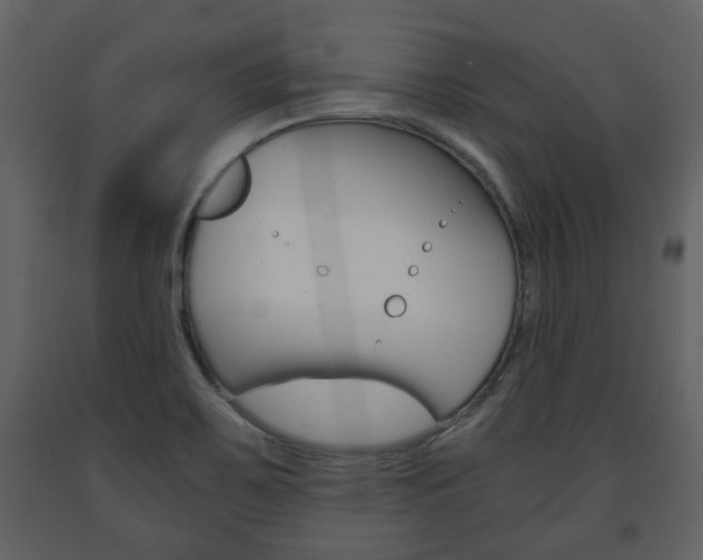 X0000091681467200708231056