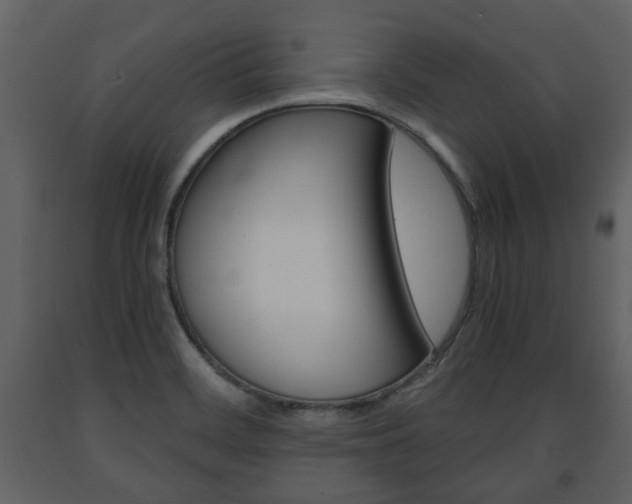 X0000091681468200708231056