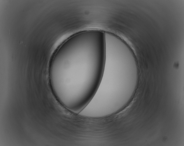 X0000091681469200708231056