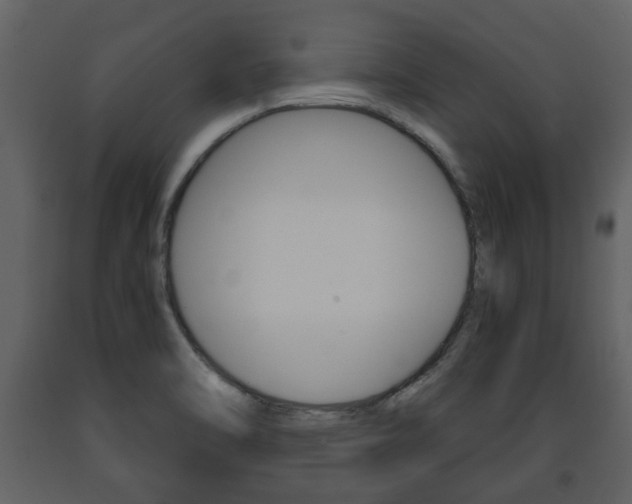 X0000091681470200708231056