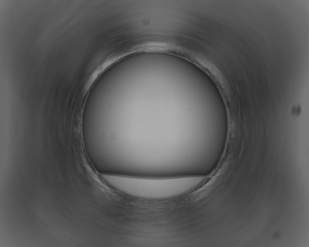 X0000091681473200708231056