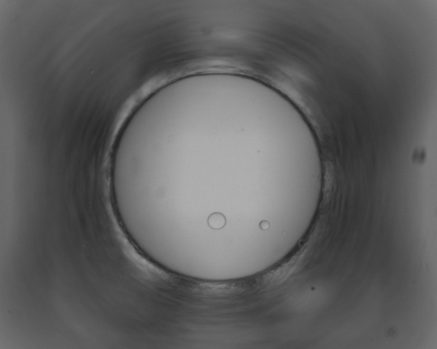 X0000091681474200708231056