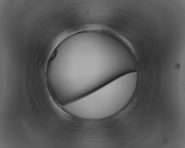 X0000091681475200708231056