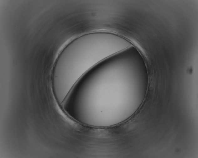 X0000091681476200708231056