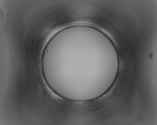X0000091681478200708231056