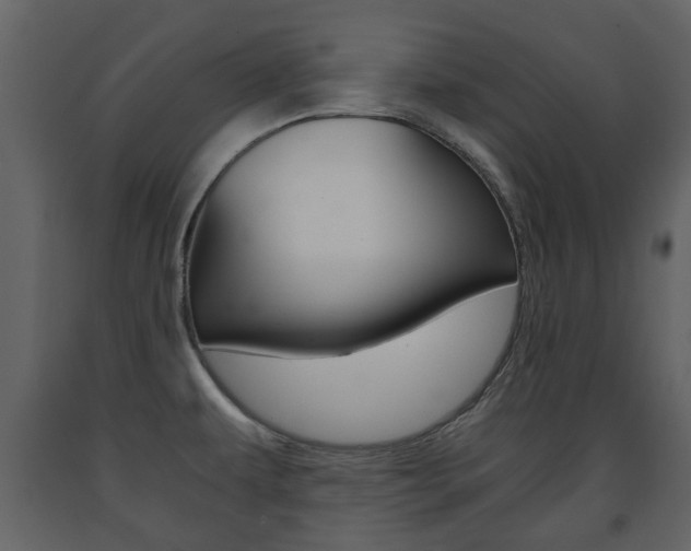 X0000091681479200708231056