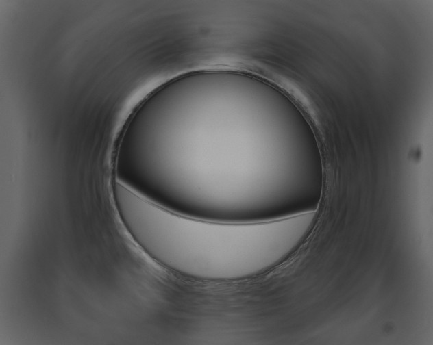 X0000091681480200708231056