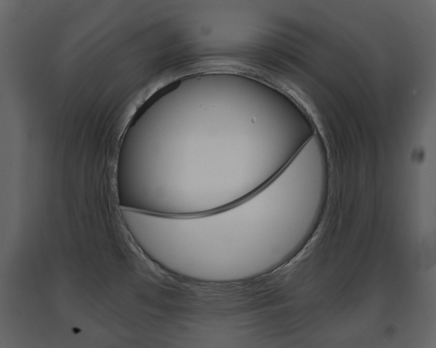 X0000091681481200708231056