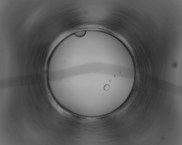 X0000091681482200708231056