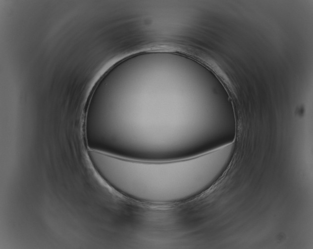 X0000091681484200708231056