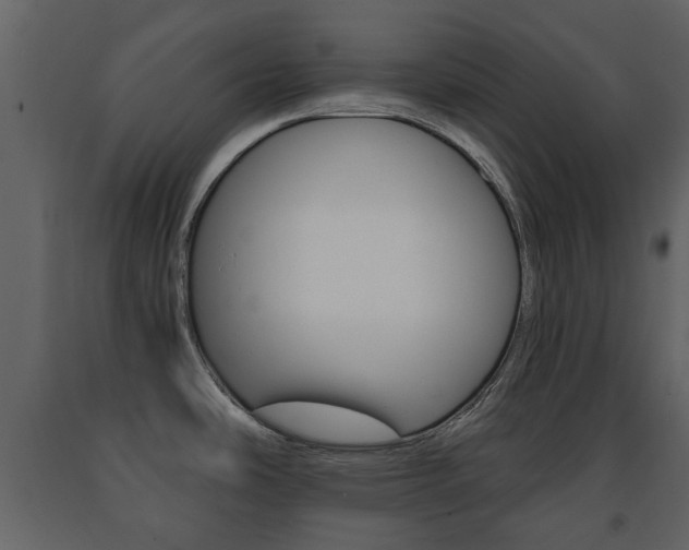 X0000091681486200708231056