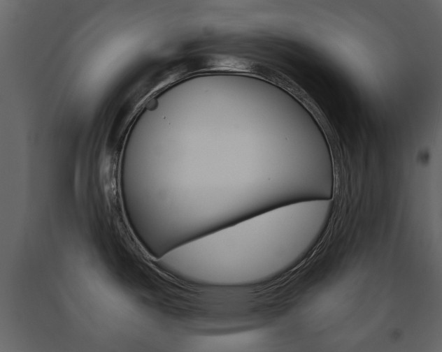 X0000091681487200708231056