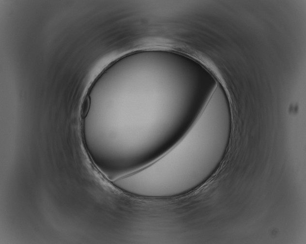 X0000091681488200708231056