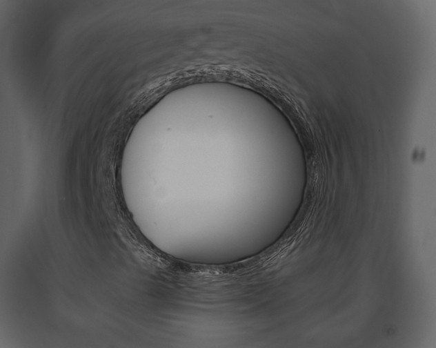 X0000091681489200708231055